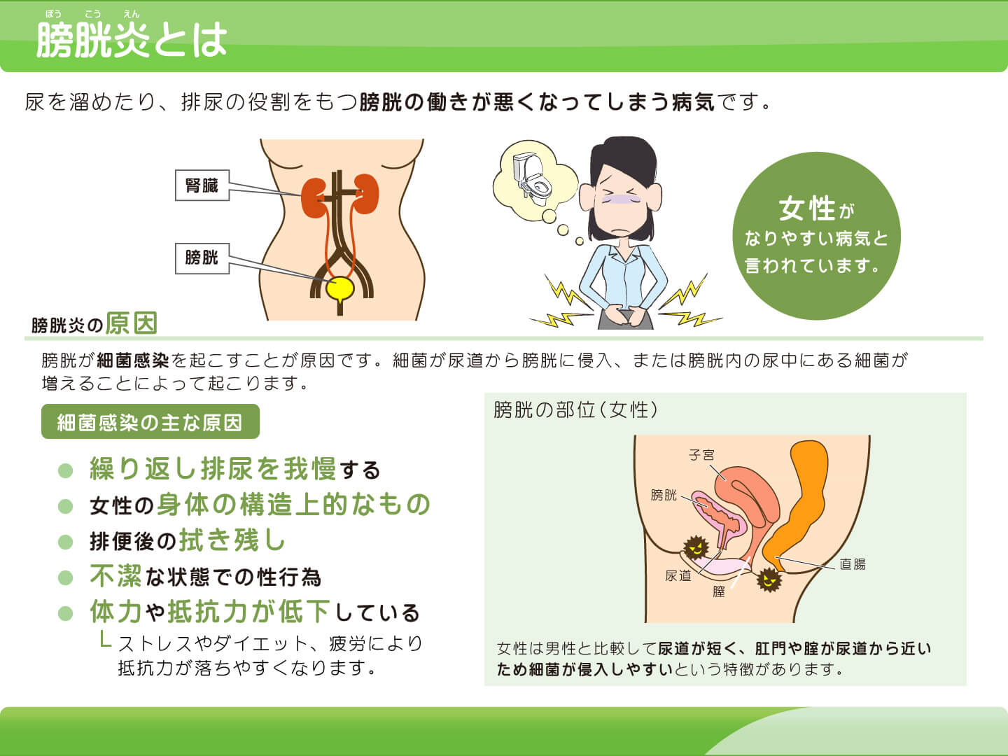急性膀胱炎